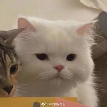 微博客户端尾巴微博客户端下载电脑版