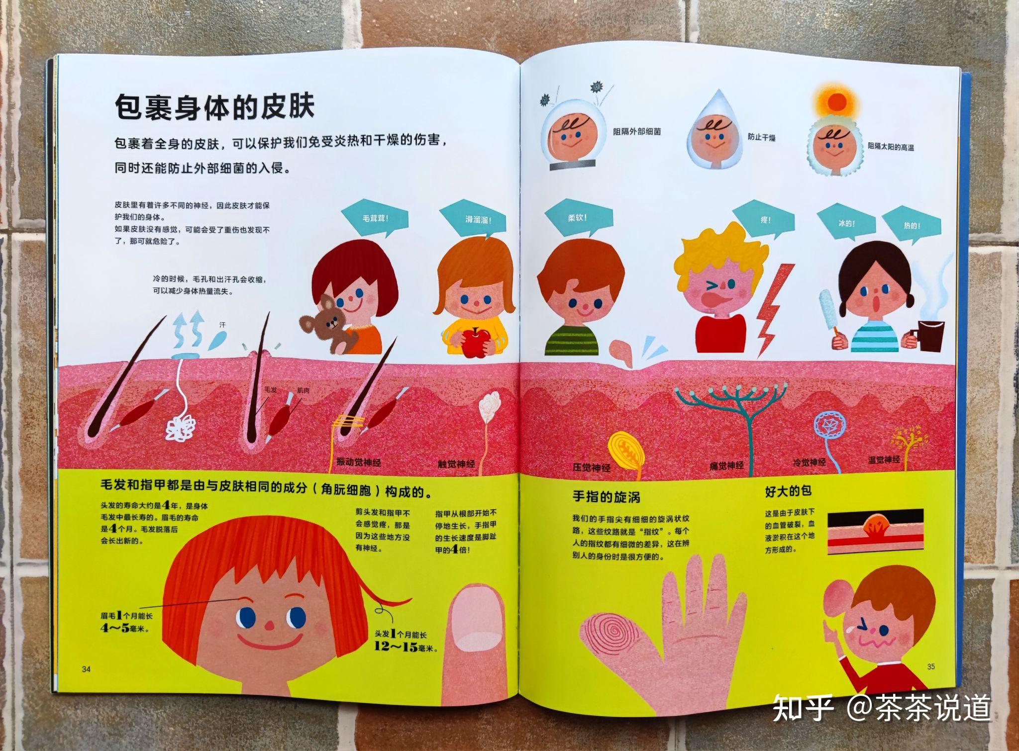 细菌长大苹果版一起长大教师版登录-第2张图片-太平洋在线下载