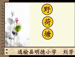 野荷塘安卓版小荷塘电脑版下载安装最新版-第2张图片-太平洋在线下载